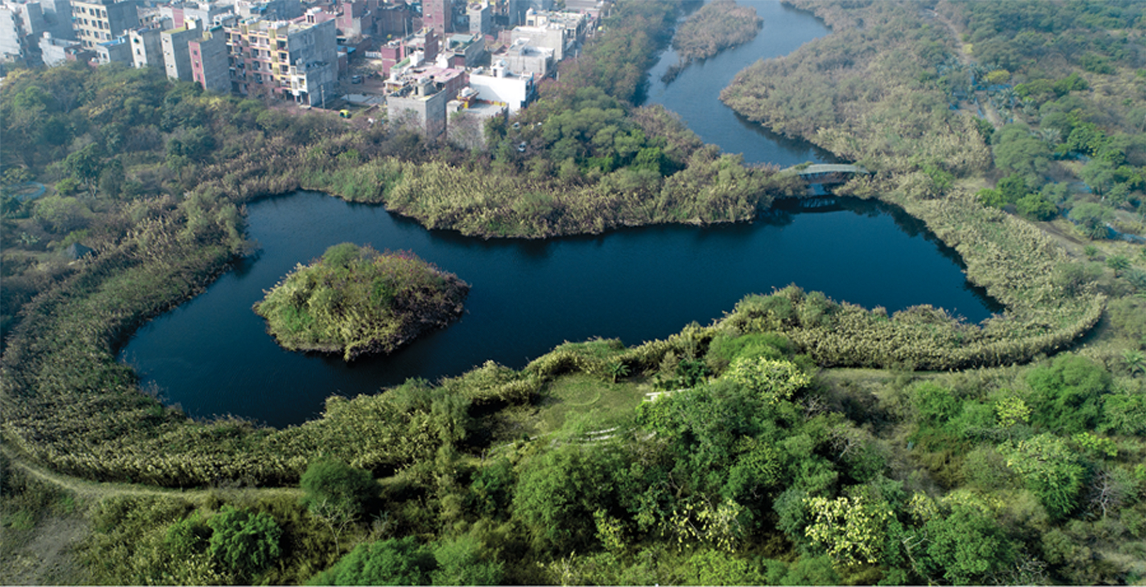 Yamuna Biodiversity Park